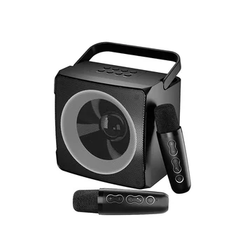 Семейная аудиосистема KTV с двойным беспроводным микрофоном и одним наружным портативным караоке-динамиком Bluetooth, черный
